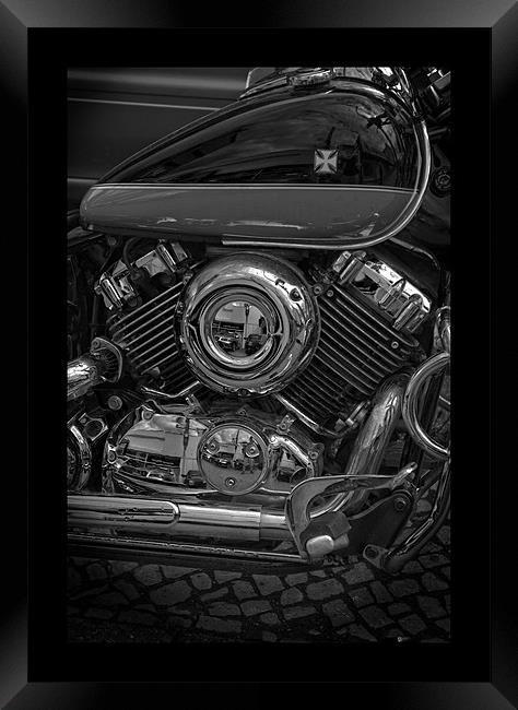 Harley Framed Print by Nathan Wright