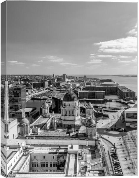 Views from Royal Liver Building Liverpool  Canvas Print by Phil Longfoot