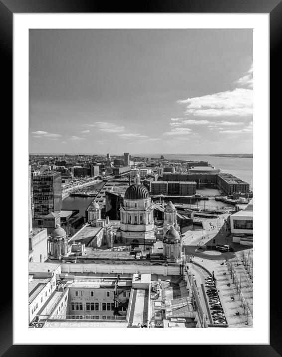 Views from Royal Liver Building Liverpool  Framed Mounted Print by Phil Longfoot