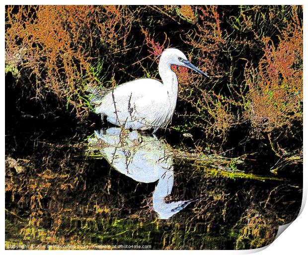 A snowy egret looking for food Print by Ann Biddlecombe
