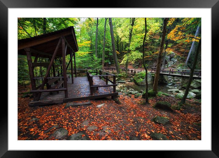Shelter by the Stream in Autumn Forest Framed Mounted Print by Artur Bogacki