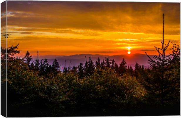 Sunset over forest. Canvas Print by Sergey Fedoskin