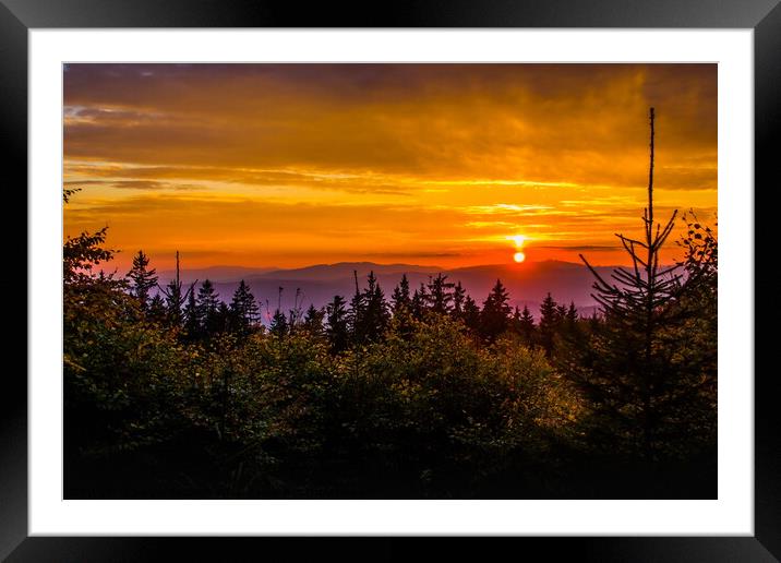 Sunset over forest. Framed Mounted Print by Sergey Fedoskin