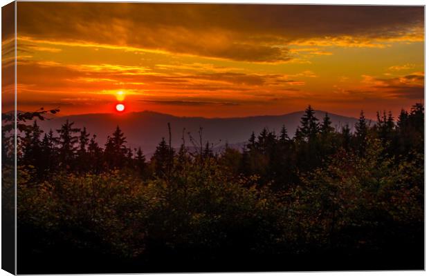 Sunset over forest Canvas Print by Sergey Fedoskin