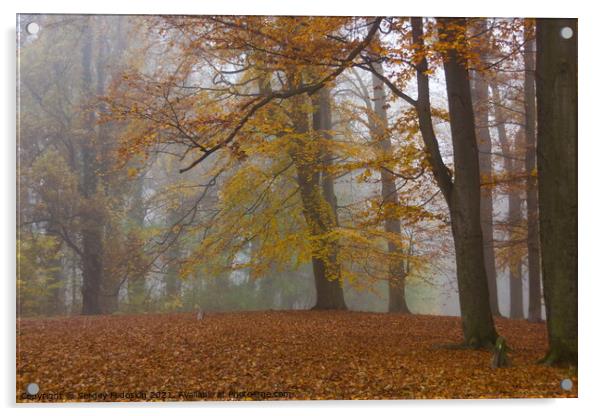 Autumn fog in forest. Acrylic by Sergey Fedoskin