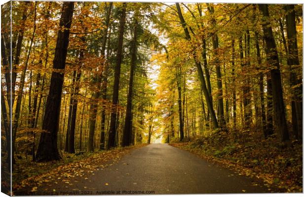Autumn forest and rural road. Canvas Print by Sergey Fedoskin
