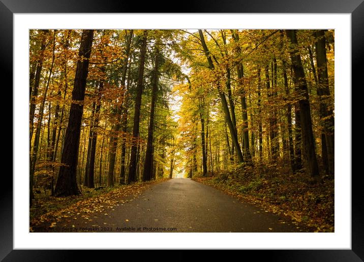 Autumn forest and rural road. Framed Mounted Print by Sergey Fedoskin