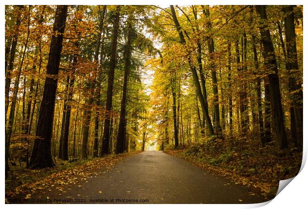 Autumn forest and rural road. Print by Sergey Fedoskin