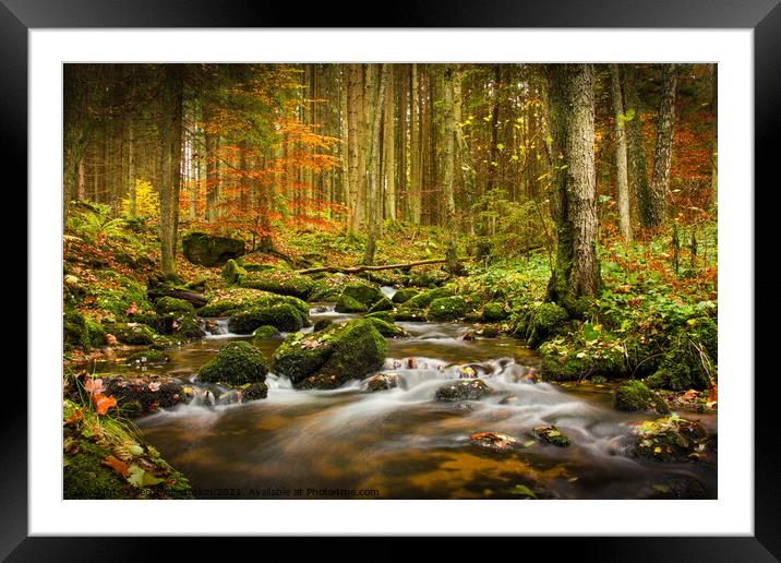 Autumn creek Framed Mounted Print by Sergey Fedoskin