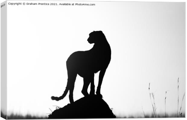 Cheetah Silhouette Canvas Print by Graham Prentice