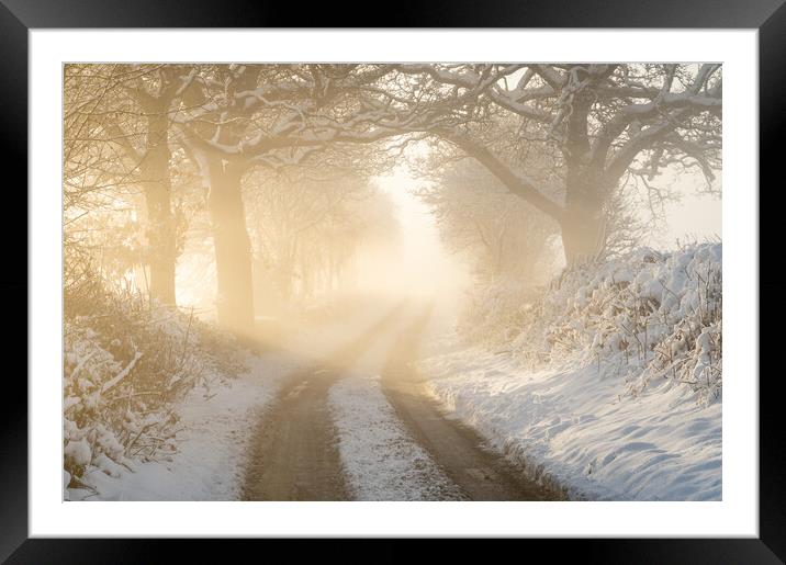 Winter Walks Framed Mounted Print by David Semmens