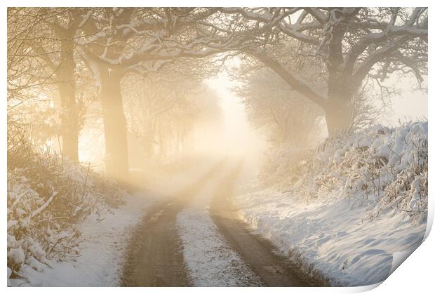 Winter Walks Print by David Semmens