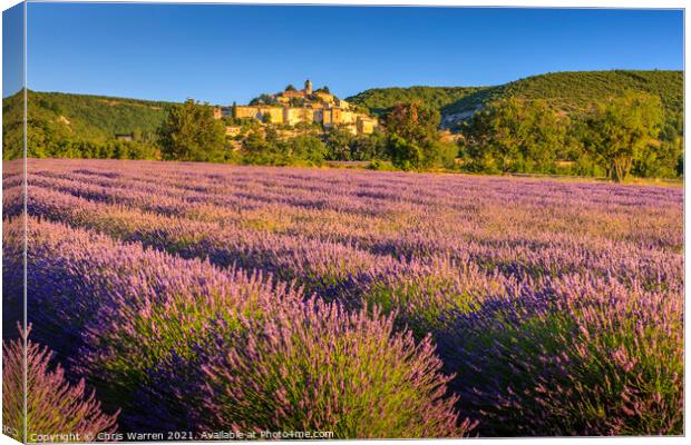 Lavender fields near Banon Provence France Canvas Print by Chris Warren