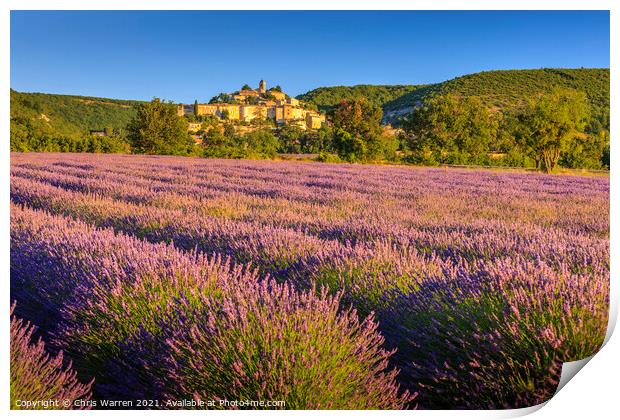 Lavender fields near Banon Provence France Print by Chris Warren