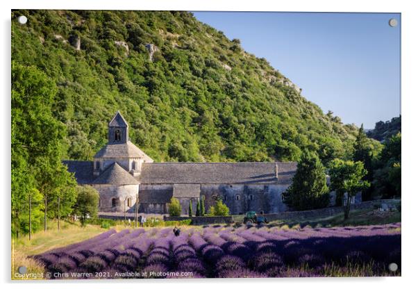 Senanque Abbey with lavender fields Provence Franc Acrylic by Chris Warren