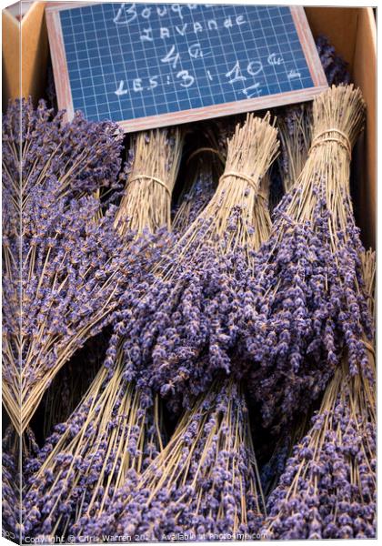 Bunches of cut lavender Provence France Canvas Print by Chris Warren
