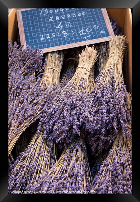 Bunches of cut lavender Provence France Framed Print by Chris Warren