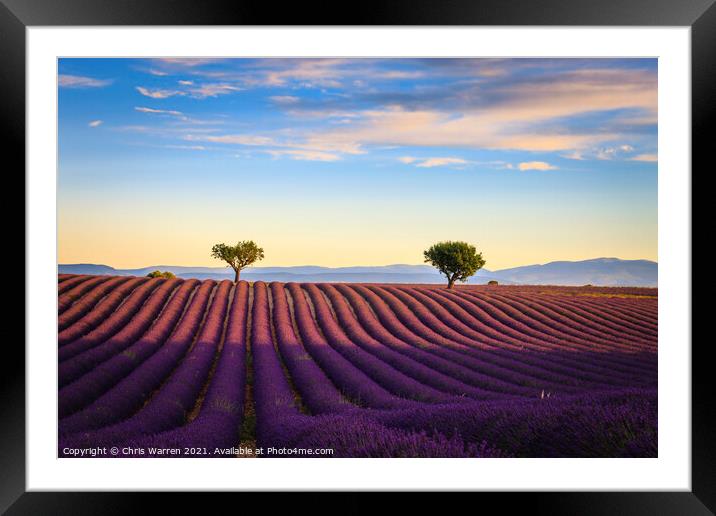 Lavender fields in the early morning Valensole Pla Framed Mounted Print by Chris Warren