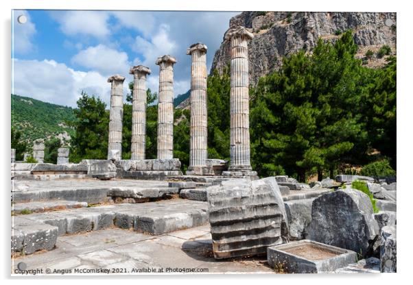 Greek Temple of Athena at Priene, Turkey Acrylic by Angus McComiskey