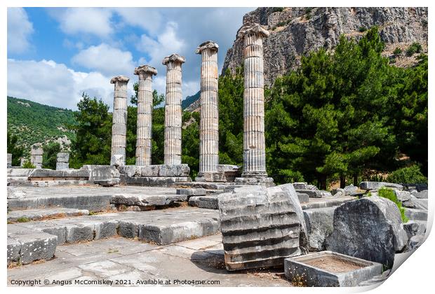 Greek Temple of Athena at Priene, Turkey Print by Angus McComiskey