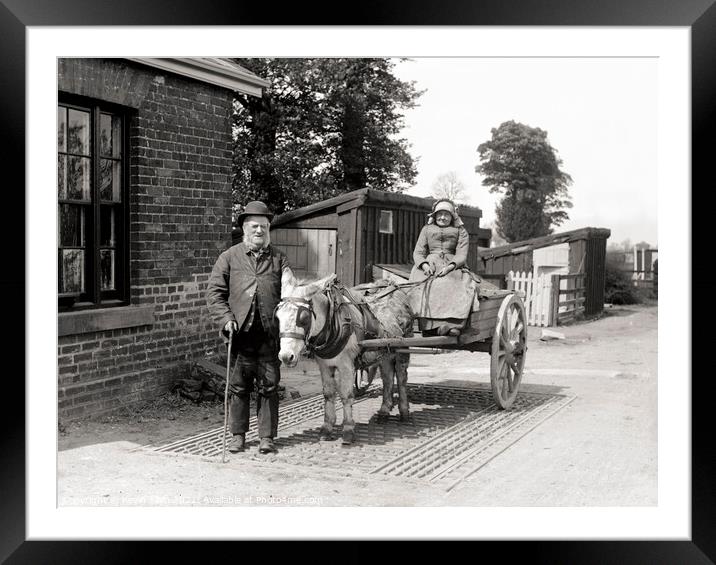 Edwardian Donkey cart at work, original vintage ne Framed Mounted Print by Kevin Allen
