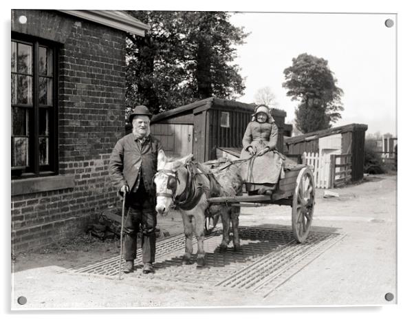 Edwardian Donkey cart at work, original vintage ne Acrylic by Kevin Allen