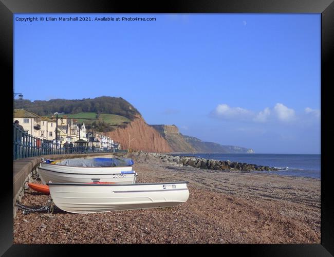 Salcombe Hill in the town of Sidmouth Devon .   Framed Print by Lilian Marshall