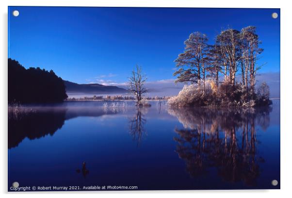 Loch Mallachie Reflections 2, Scotland. Acrylic by Robert Murray