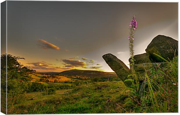 Foxgloves above Uppermill Canvas Print by Jeni Harney