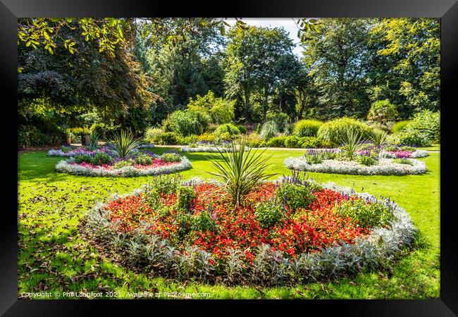Flower beds in a Liverpool Park.  Framed Print by Phil Longfoot