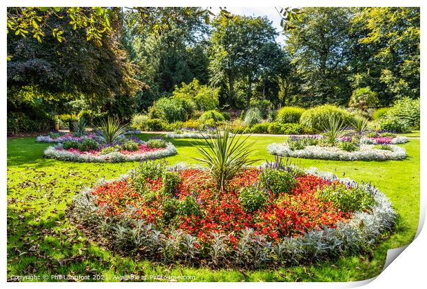 Flower beds in a Liverpool Park.  Print by Phil Longfoot