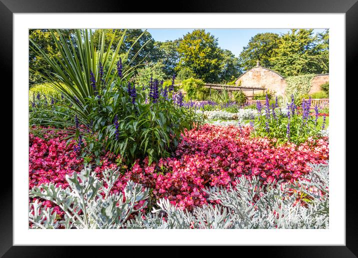 English Country Garden  Framed Mounted Print by Phil Longfoot
