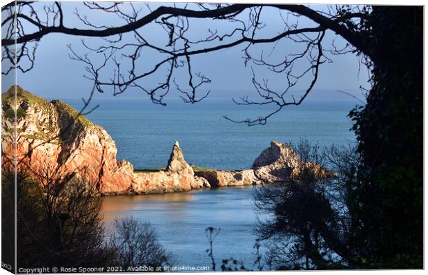 Golden Light on Long Quarry Point at Anstey's Cove  Canvas Print by Rosie Spooner