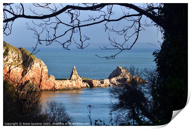 Golden Light on Long Quarry Point at Anstey's Cove  Print by Rosie Spooner