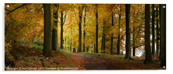 Autumn Path on Cannock Chase 2 Acrylic by Ann Garrett