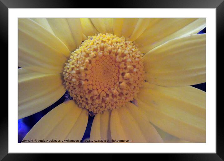Blurry yellow daisy Framed Mounted Print by Andy Huckleberry Williamson III