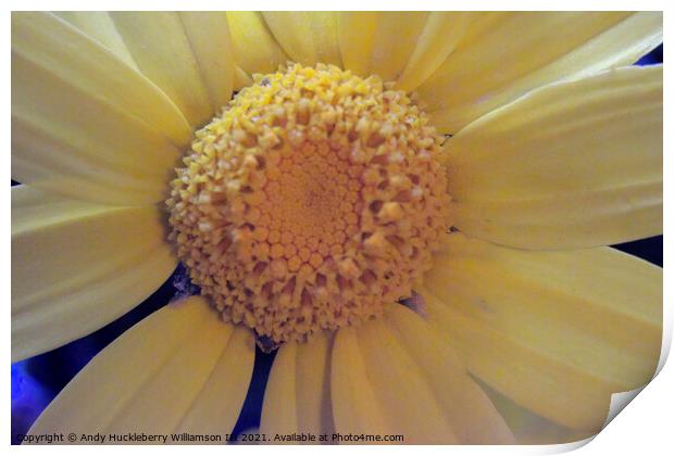Blurry yellow daisy Print by Andy Huckleberry Williamson III