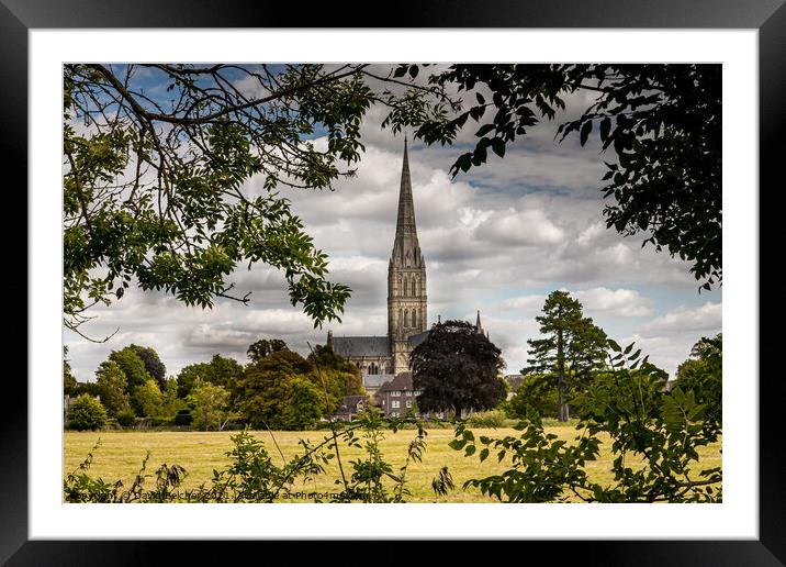Salisbury cathedral Framed Mounted Print by David Belcher