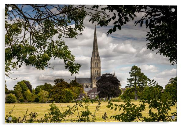 Salisbury cathedral Acrylic by David Belcher