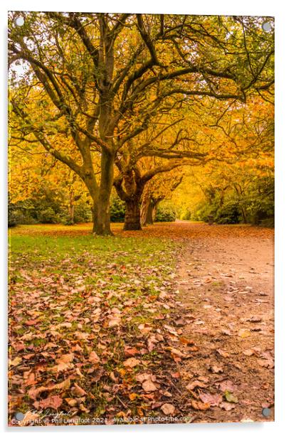 Autumn trees. Acrylic by Phil Longfoot