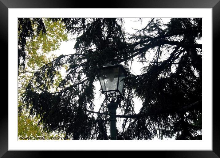 Street lamp in park of Villa Scassi, Sampierdarena Framed Mounted Print by Andy Huckleberry Williamson III