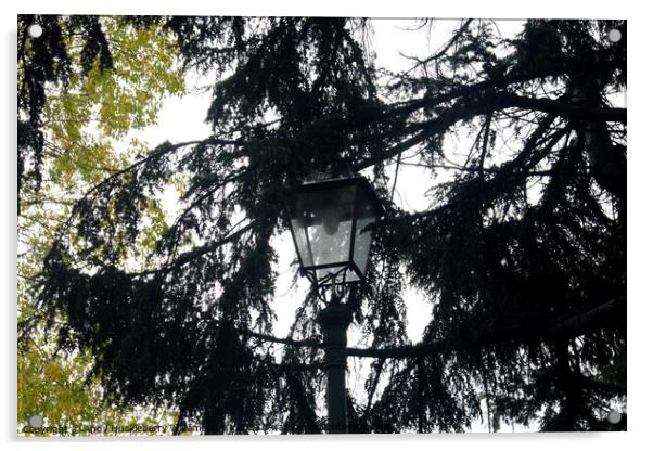 Street lamp in park of Villa Scassi, Sampierdarena Acrylic by Andy Huckleberry Williamson III