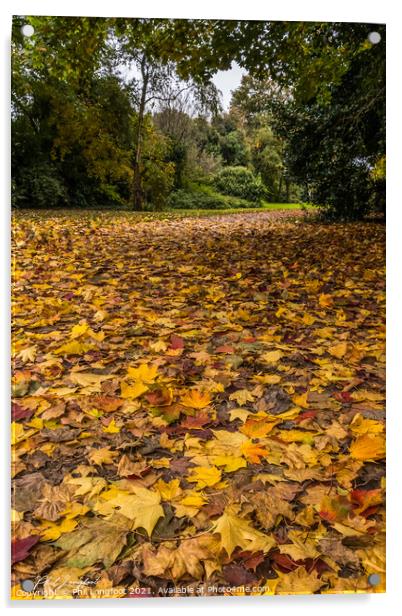 Fallen leaves Acrylic by Phil Longfoot