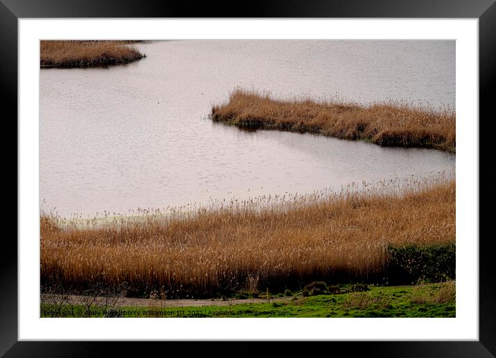 Soprano lake in the natural reserve of Serradifalc Framed Mounted Print by Andy Huckleberry Williamson III