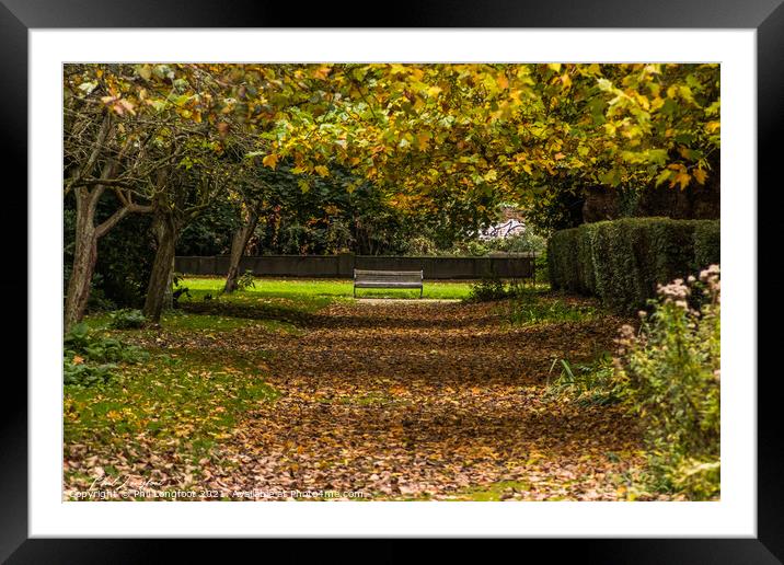 An avenue of leaves Framed Mounted Print by Phil Longfoot