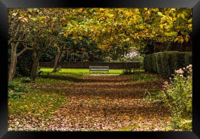 An avenue of leaves Framed Print by Phil Longfoot