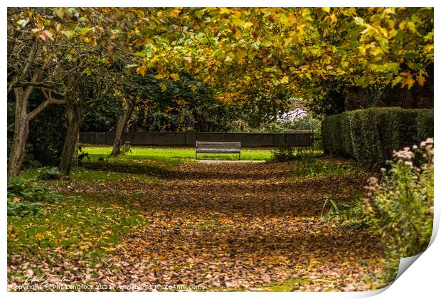 An avenue of leaves Print by Phil Longfoot