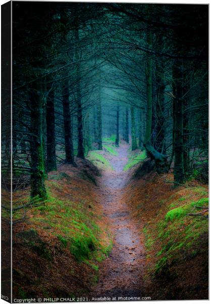 Enchanted Surreal  Cropton forest in North Yorkshire 90 Canvas Print by PHILIP CHALK