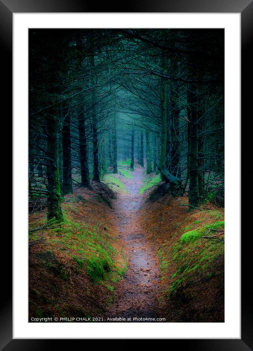 Enchanted Surreal  Cropton forest in North Yorkshire 90 Framed Mounted Print by PHILIP CHALK