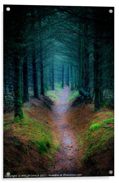 Enchanted Surreal  Cropton forest in North Yorkshire 90 Acrylic by PHILIP CHALK